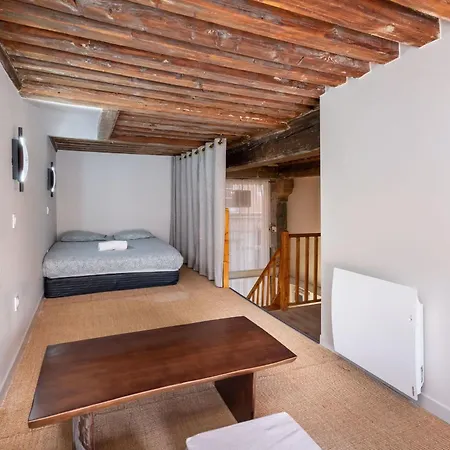 Le Dali - Joli Duplex Quais De Saone - Vieux Apartament *